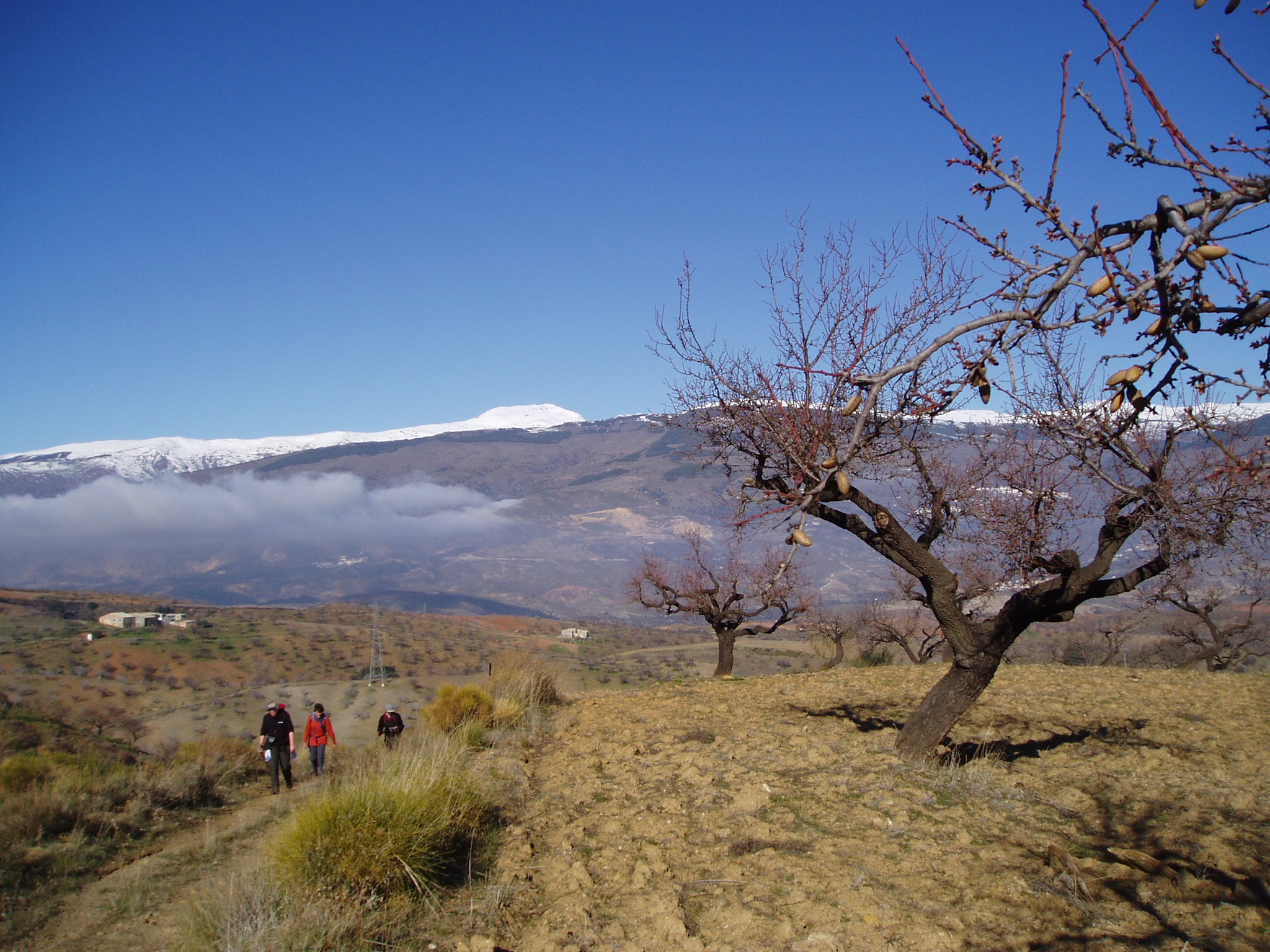 Walking uphill