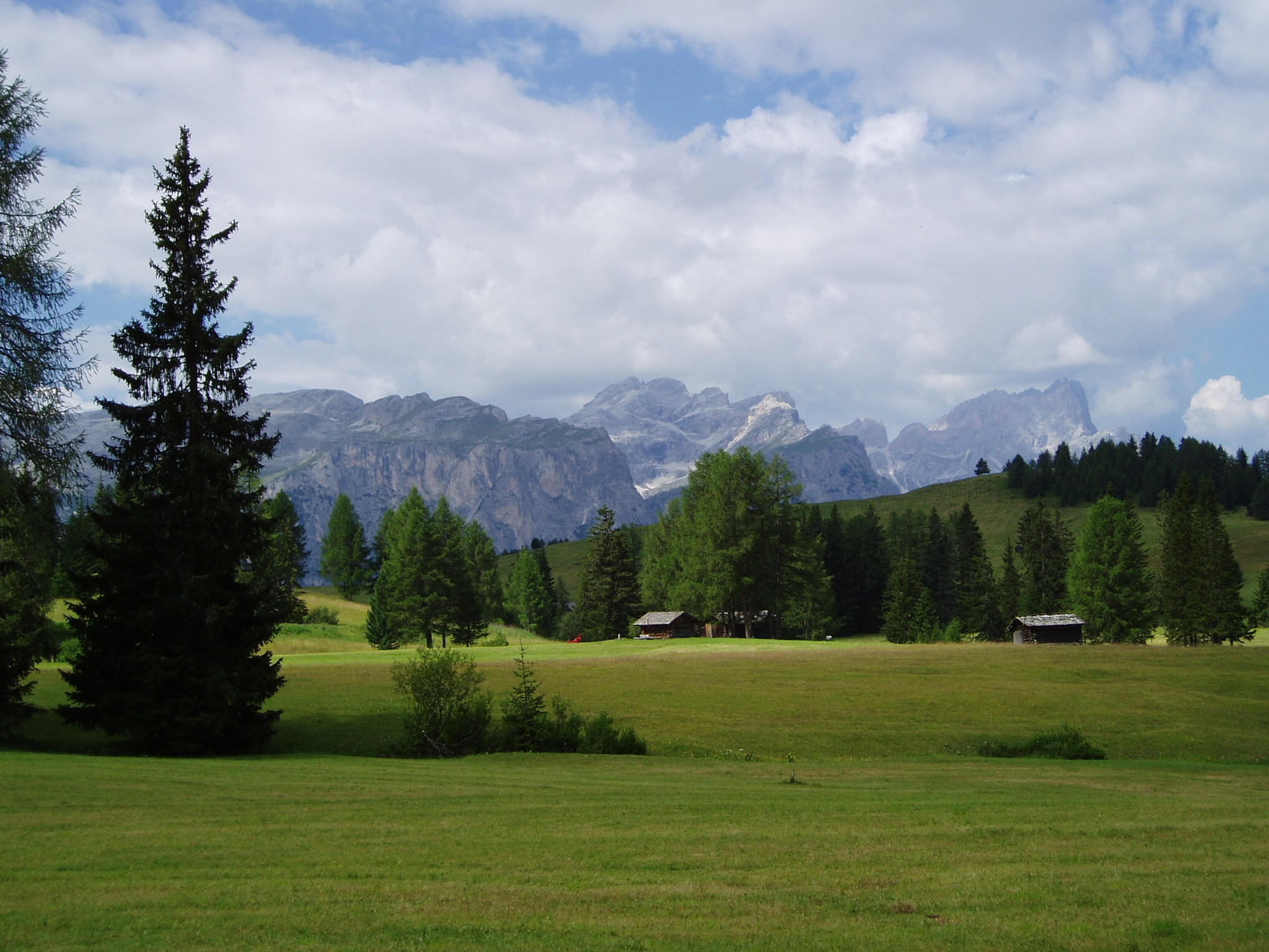 Meadows and mountains