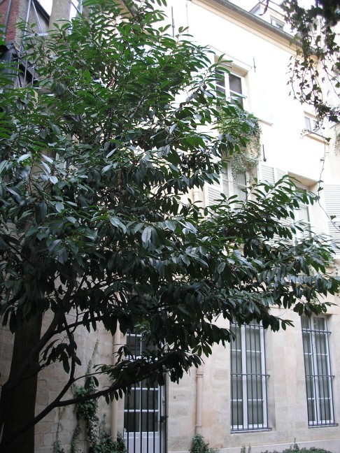 1st courtyard