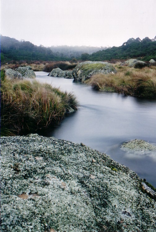 Saxby Creek, Barrington Tops National Park, NSW.