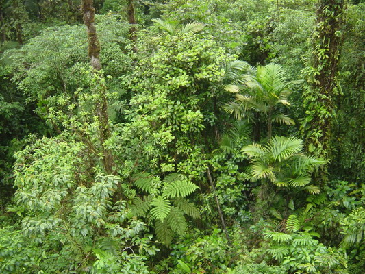 Aerial Tram 10.JPG