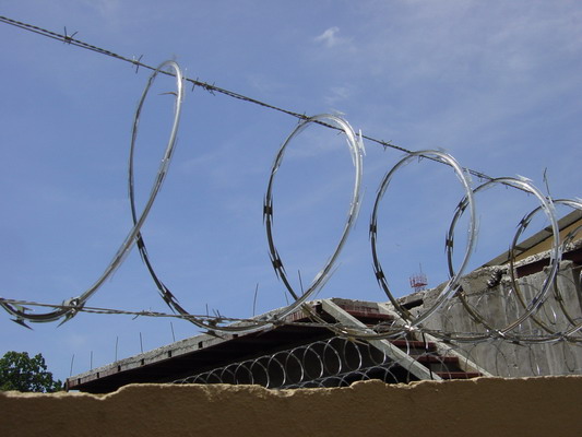 Jaco Amapola barbed wire 2 kinds.JPG