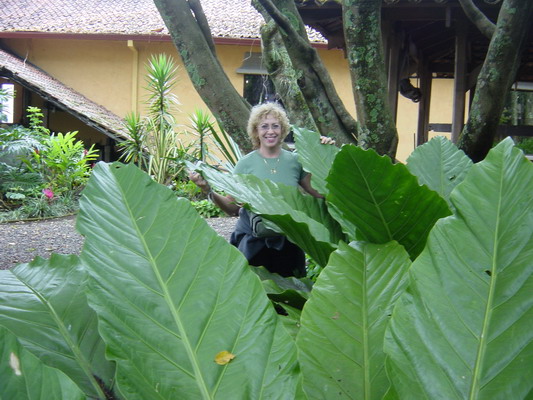 National Museum 04.JPG