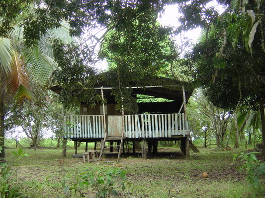 Rio Frio Nicaragua Blondie house1.JPG