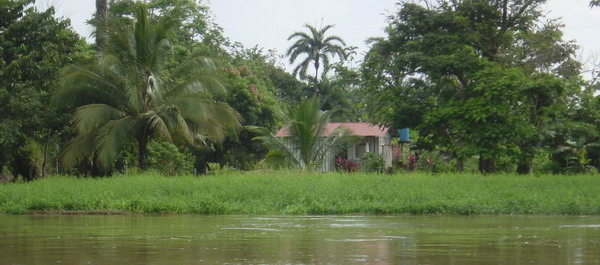 Tortuguera return Boat 014.jpg