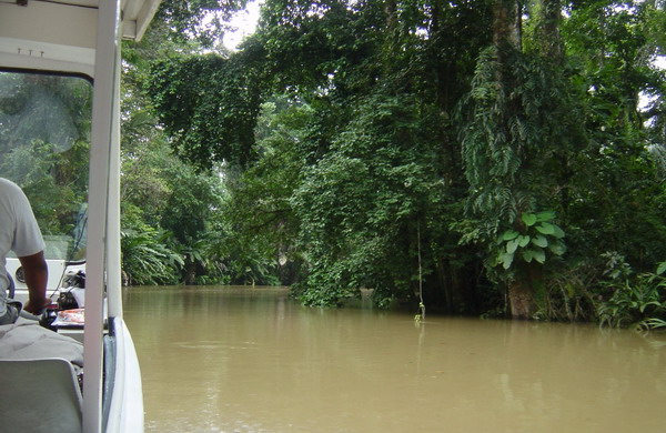 Tortuguera return Boat 020.jpg