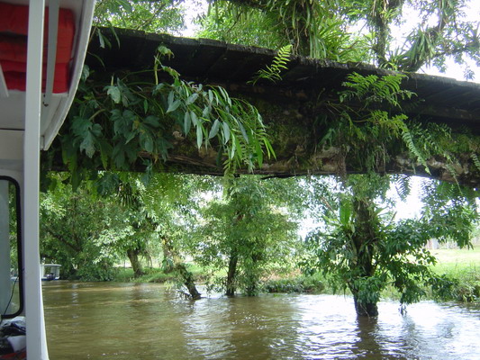 Tortuguera return Boat bridge water down some.jpg