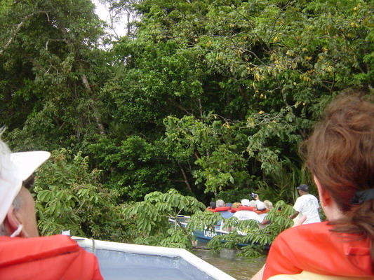 Tortuguera Animal Cruises 04.JPG