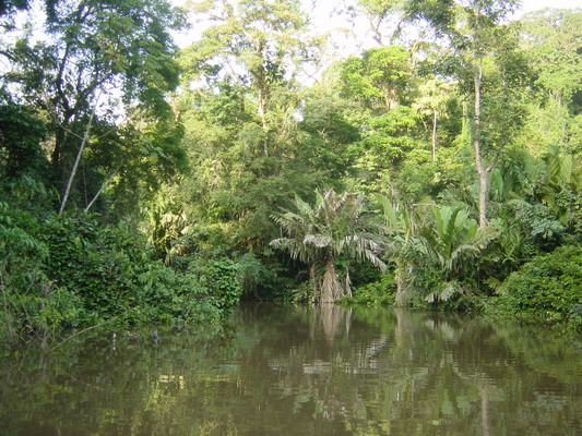 Tortuguera Animal Cruises 55.JPG