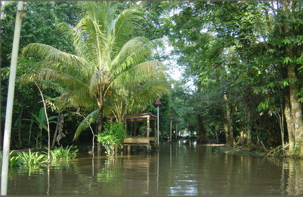 Tortuguera Animal Cruises Exotic Hotel.JPG