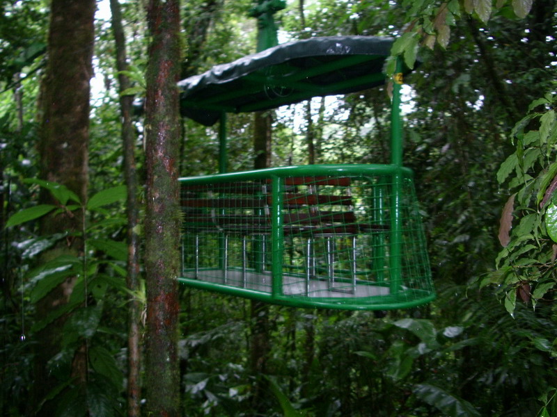 Aerial Tram in Rainforest 3-30-06.JPG