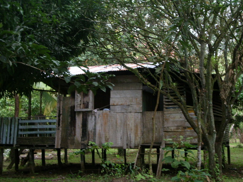Shack  on path to finding Blonde.JPG