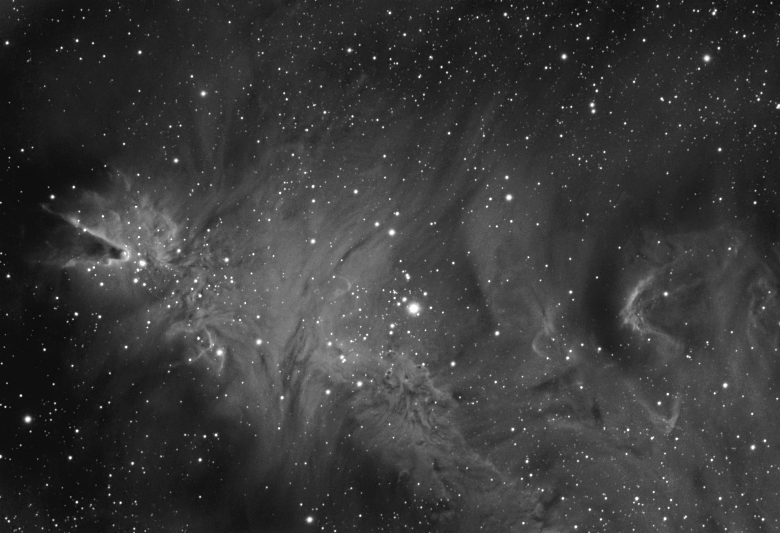 The cone, christmas tree and foxfur nebulas