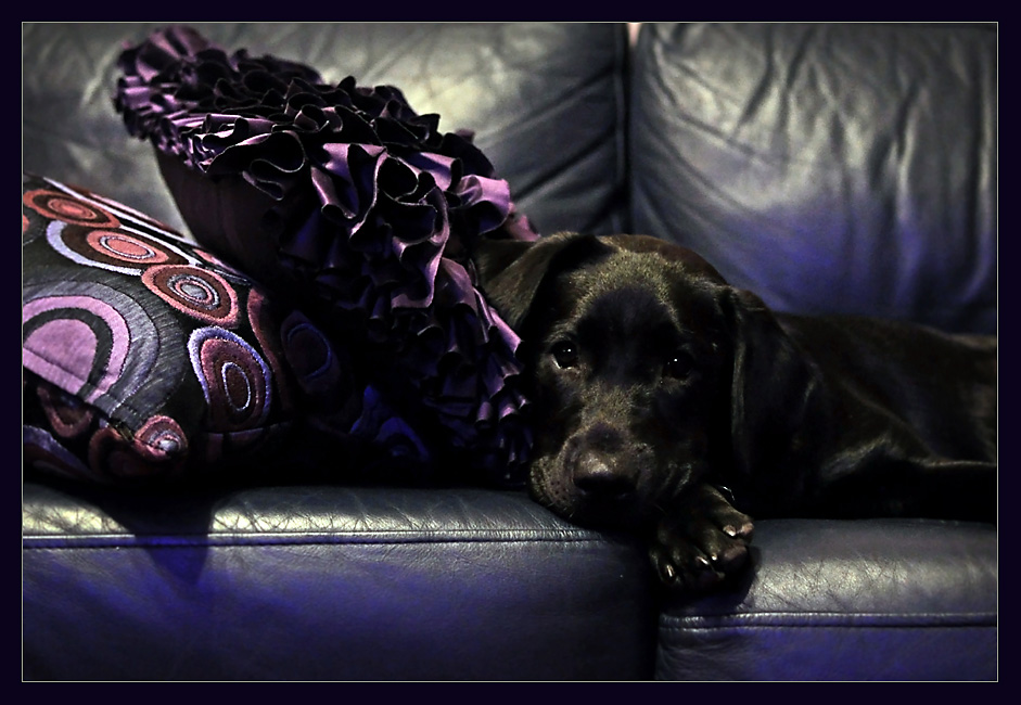 Maisy 6 months