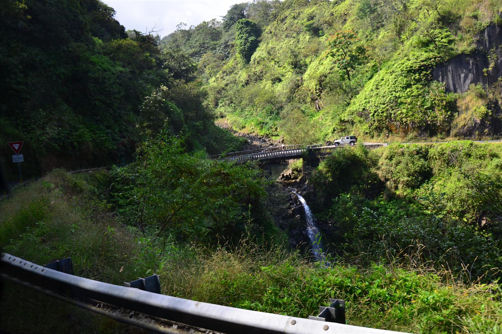 Bridge and falls