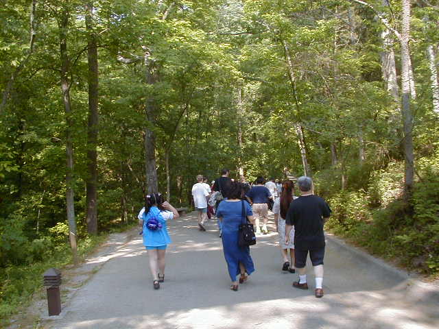 P1010006.JPG