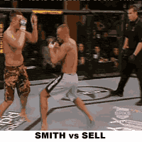 1263939857944.gif
