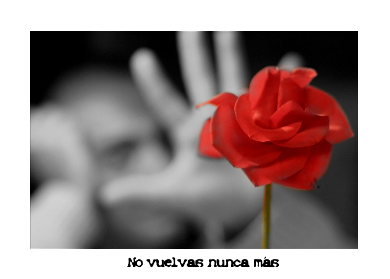 No vuelvas nunca ms