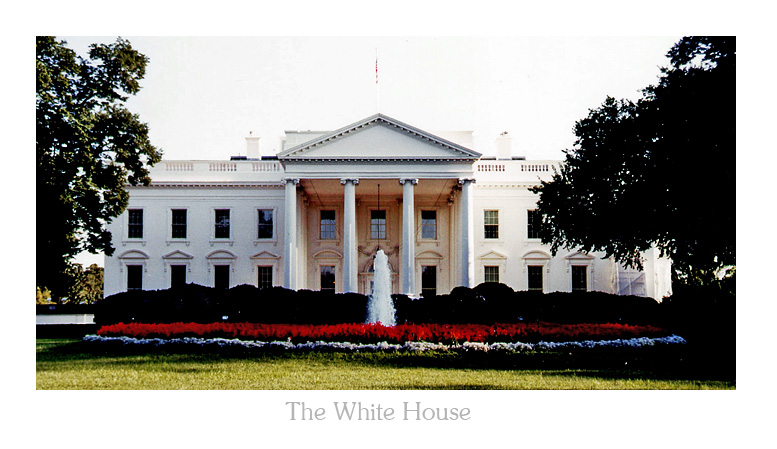 the white house.jpg