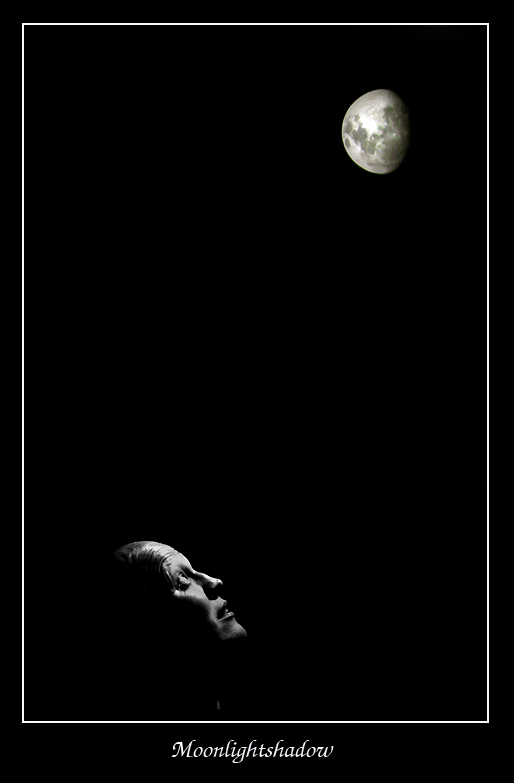 moonlightshadow.jpg