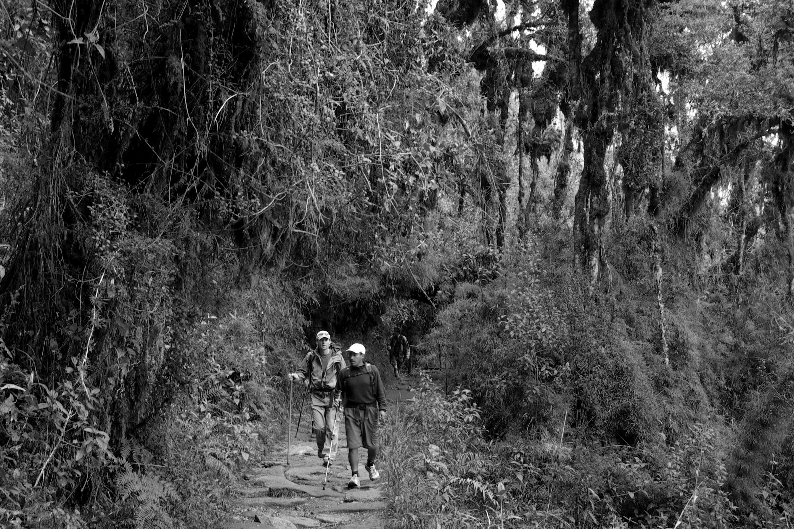 Day 3: The Inka Trail