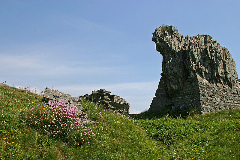 Aberystwyth Castle 2