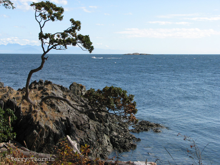 Pipers Lagoon Park.jpg