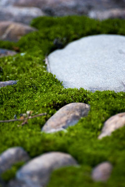 Melting in Green