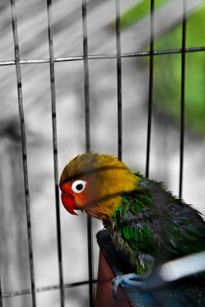 IMG_8862r.jpg