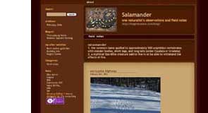 salamander-th.jpg