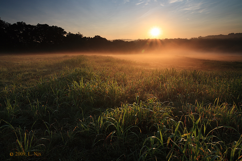 Fog over Hayfield 3