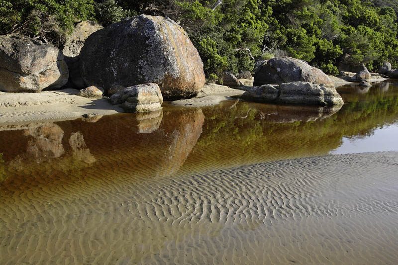 Tidal River, Wilsons Promontory N P