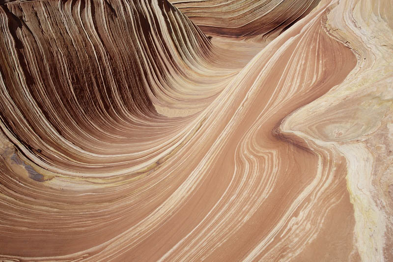 The Wave
