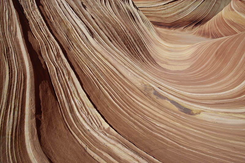 The Wave