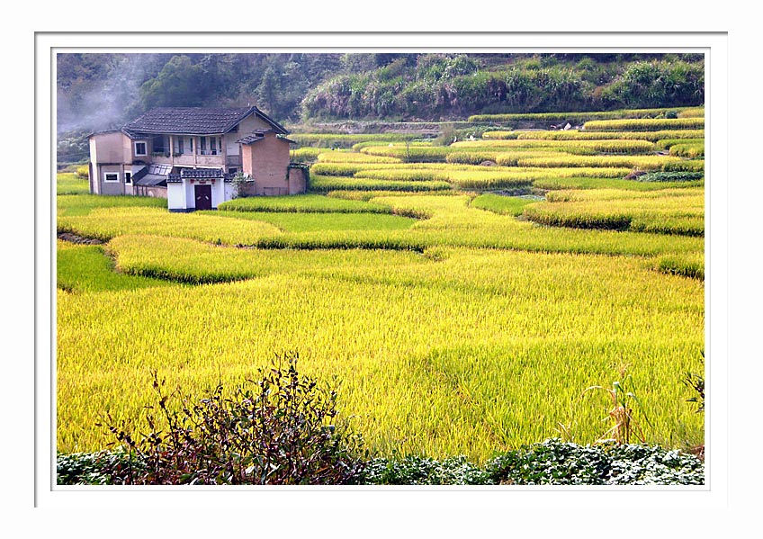 Yongding Country Scene 2