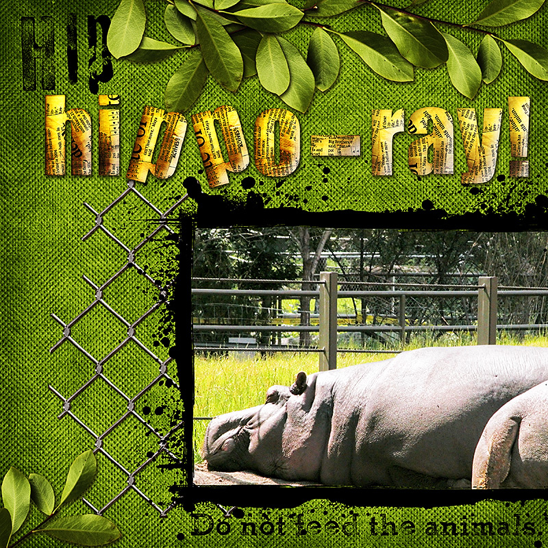 Hip Hippo-ray!