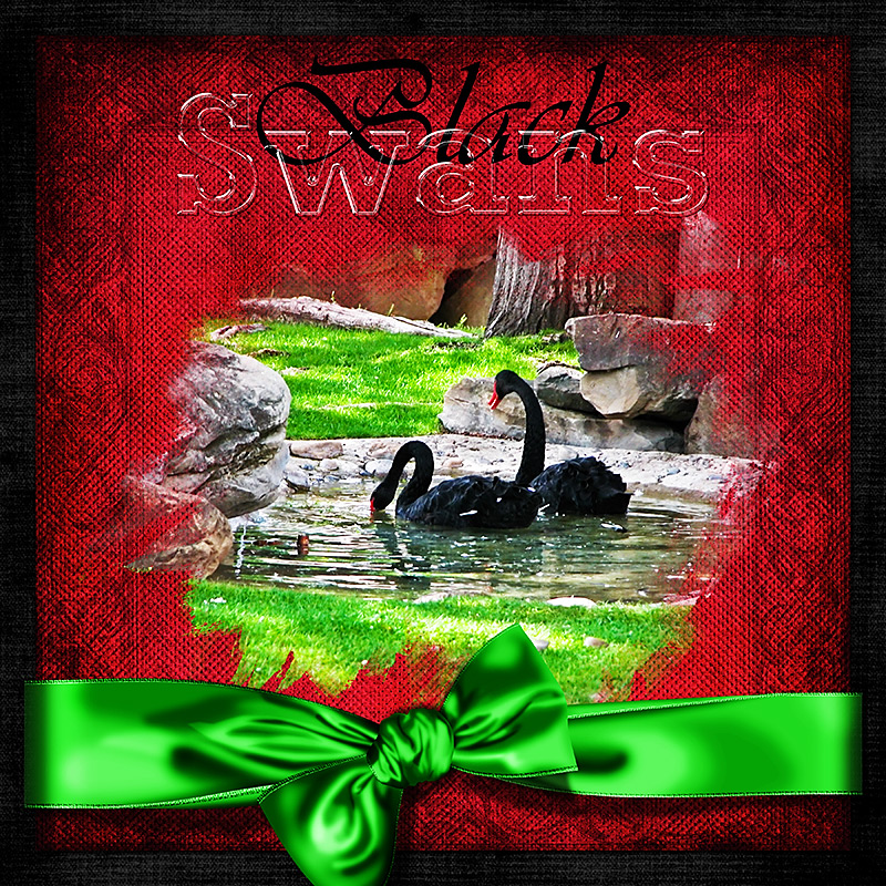 Black Swans