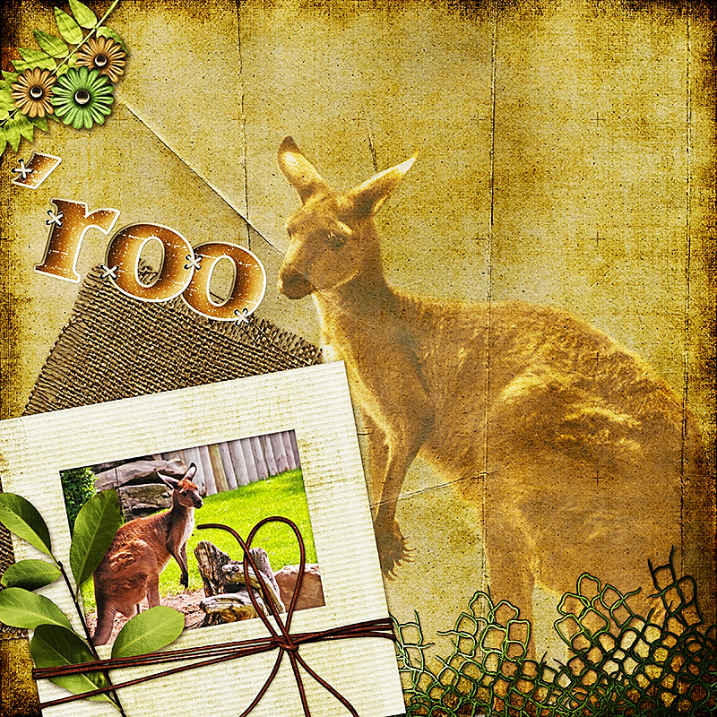 roo