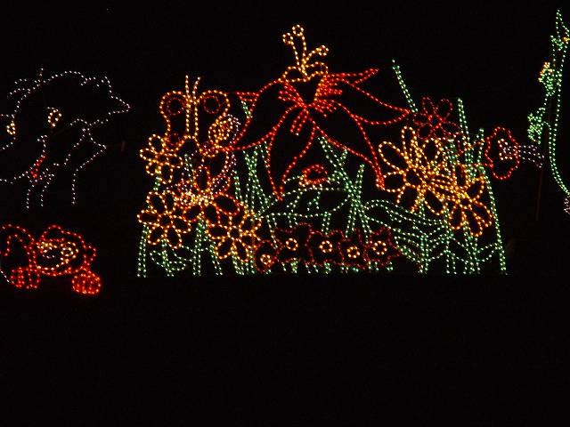 PHOENIX AREA ATTRACTIONS