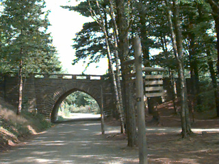 ONE OF THE MANY CARRIAGE ROAD BRIDGES ALONG ROCKY'S ROAD IN ACADIA NATIONAL PARK