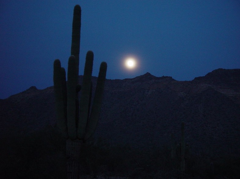 CHRISTMAS IN THE VALLEY OF THE SUN