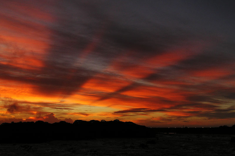 Early rays / Rayos tempraneros