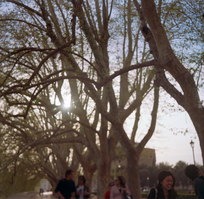Tiber: tourist fun