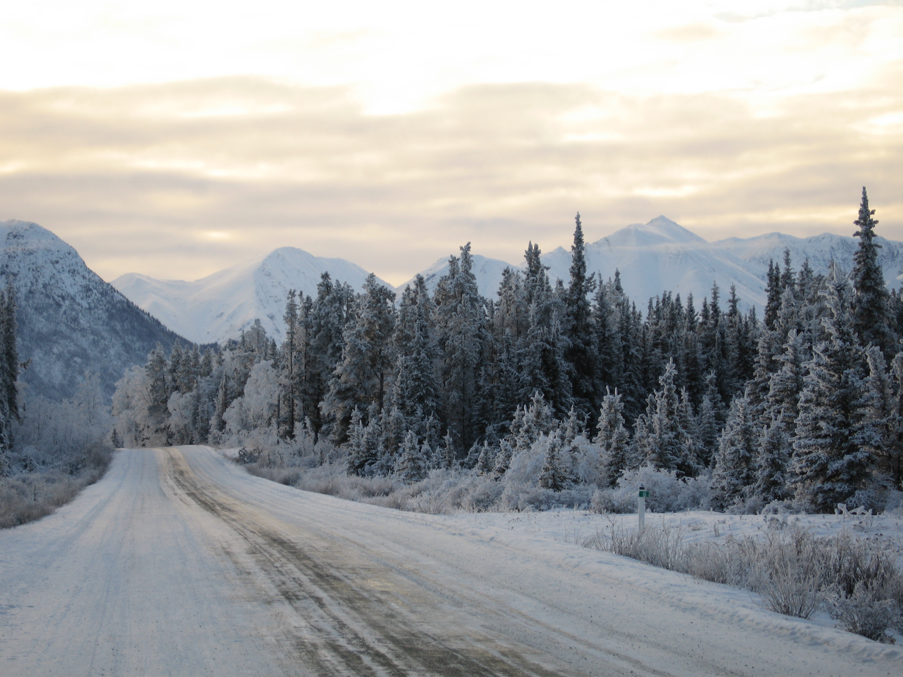 Carcross Rd