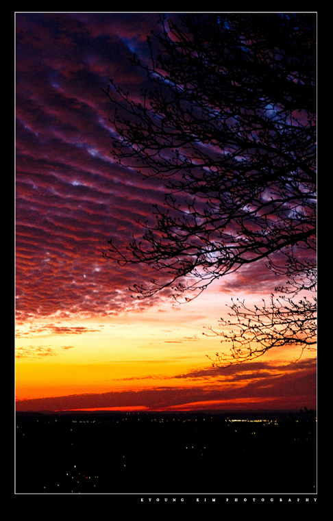Untitled-3.jpg