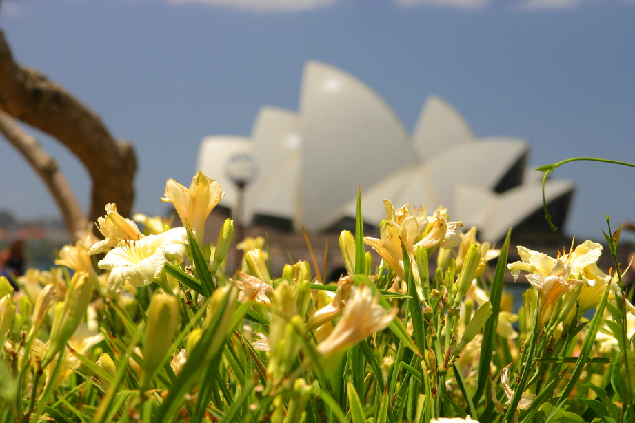 Sydney Opera House