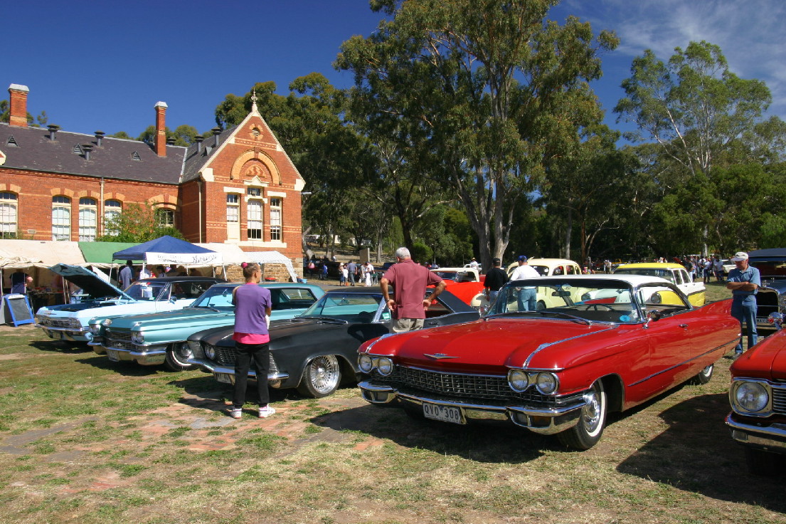 Maldon Car Festival 05