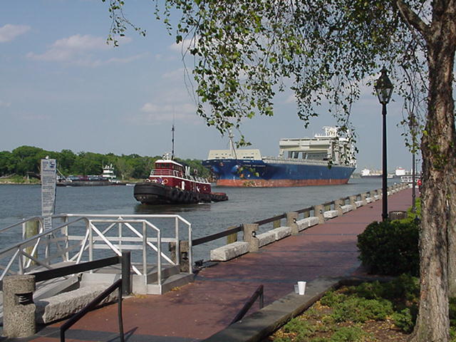 Savannah River