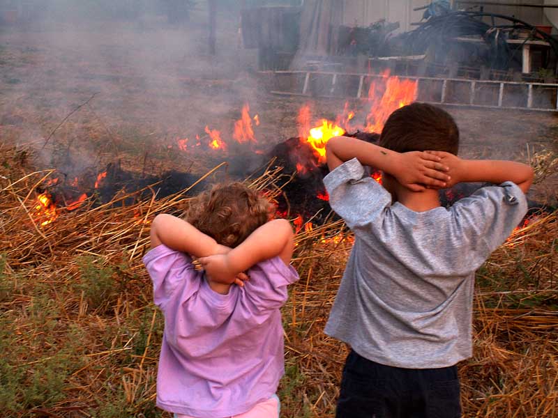 BONFIRE