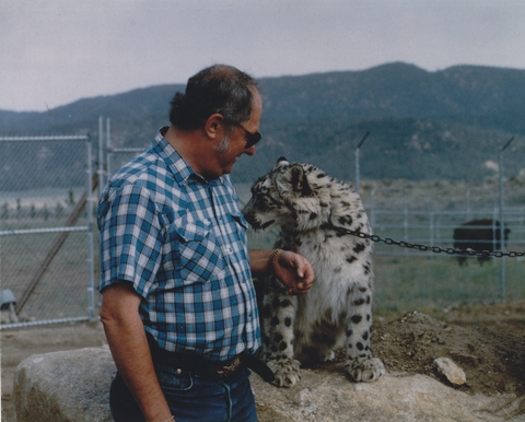 Snow   leopard